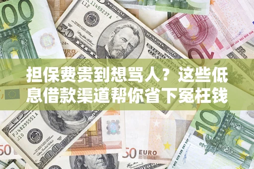 济南担保费贵到想骂人？这些低息借款渠道帮你省下冤枉钱
