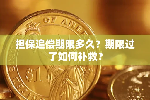 济南担保追偿期限多久？期限过了如何补救？